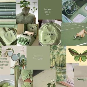 Meet your Posher, Kendall